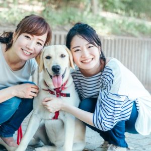 愛犬との暮らしと健康管理｜犬のしつけガイド その16